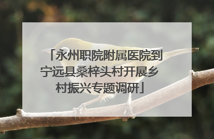永州职院附属医院到宁远县桑梓头村开展乡村振兴专题调研